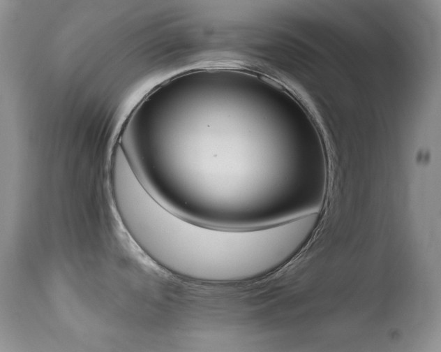 X0000114221488200910091336