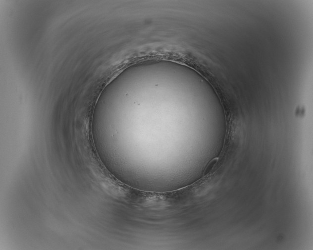 X0000114221489200910091335