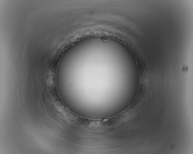 X0000114221490200910091335