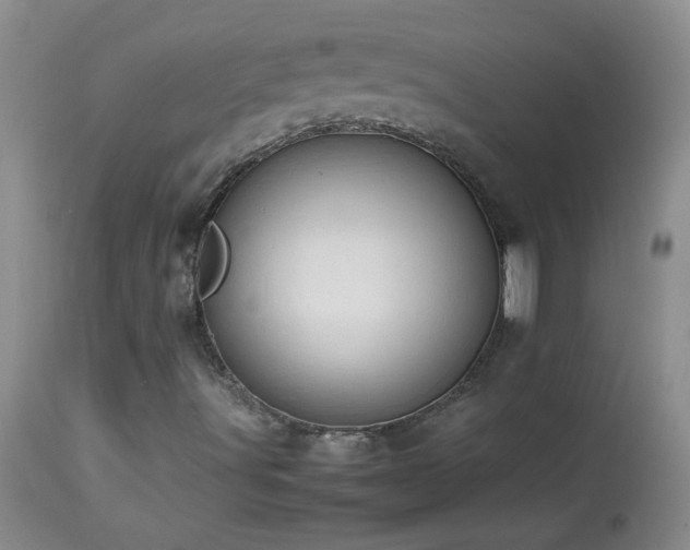 X0000114221491200910091335