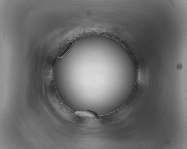 X0000114221492200910091335