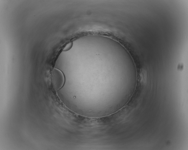 X0000114221493200910091335