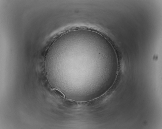 X0000114221494200910091335