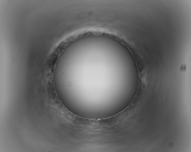 X0000114221495200910091335