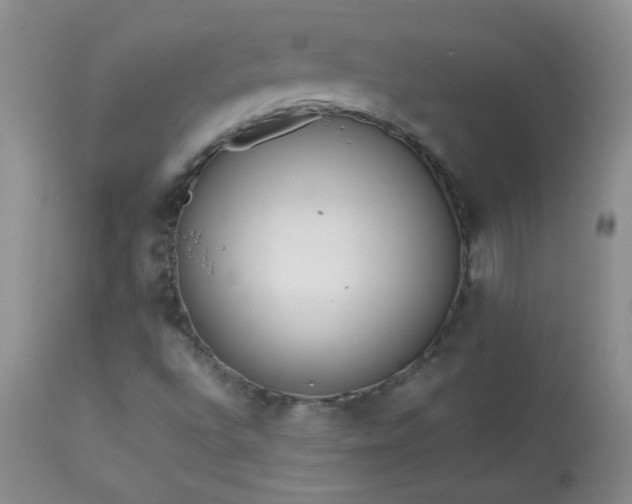 X0000114221496200910091335