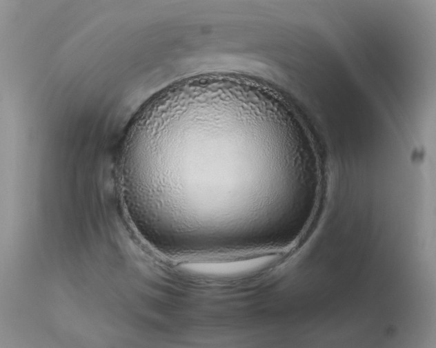 X0000114221497200910091335