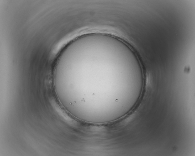 X0000114221498200910091335