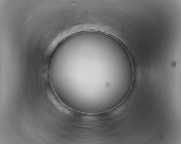 X0000114221499200910091335