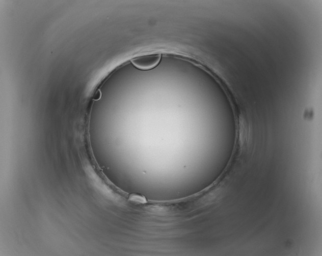 X0000114221500200910091335