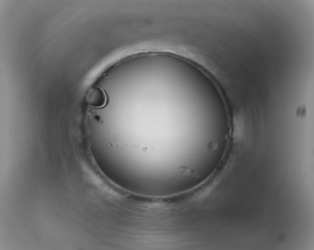 X0000114221502200910091335