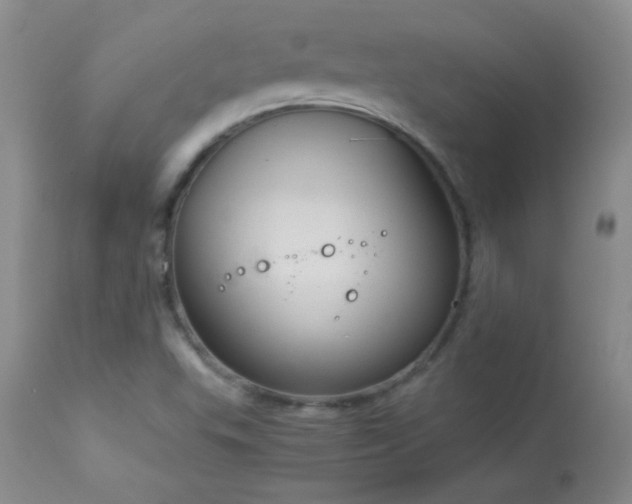 X0000114221503200910091335