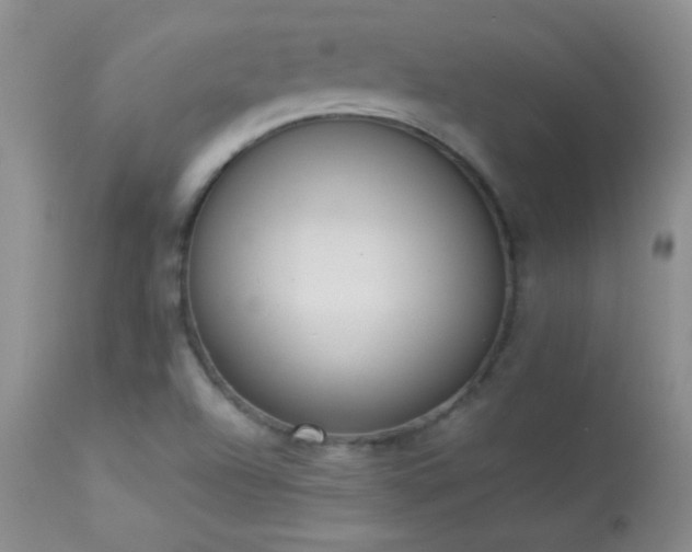 X0000114221504200910091335