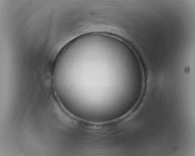 X0000114221505200910091335
