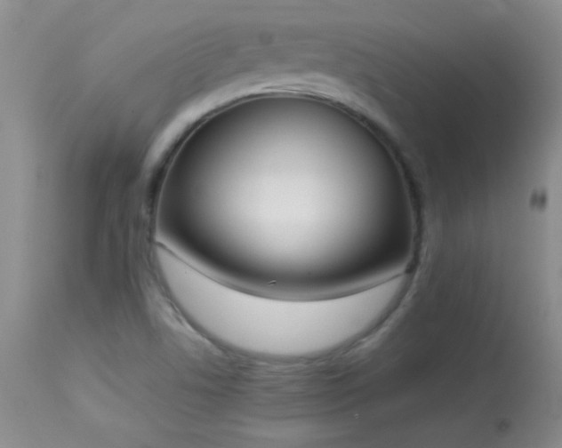 X0000114221506200910091335
