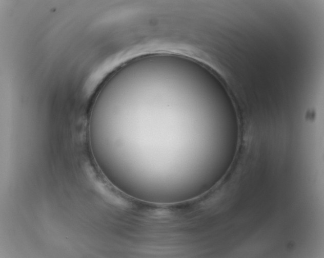 X0000114221507200910091335