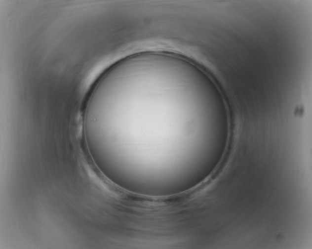 X0000114221509200910091335