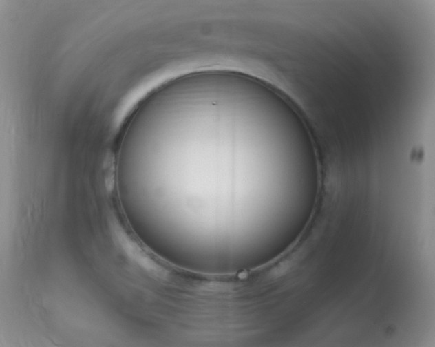 X0000114221510200910091335
