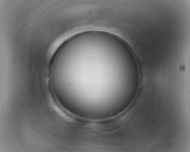 X0000114221511200910091335