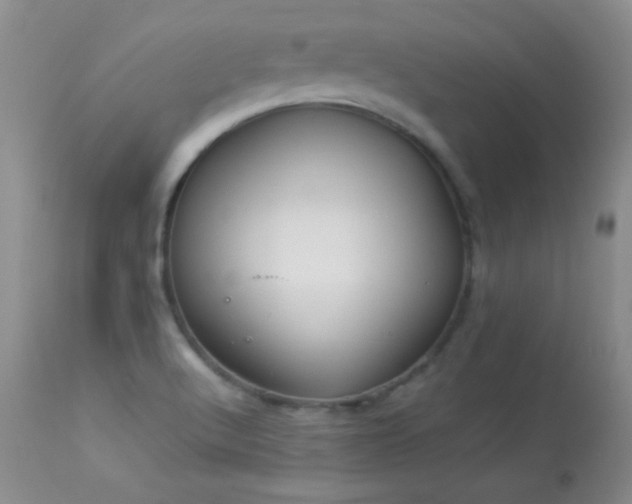 X0000114221512200910091335