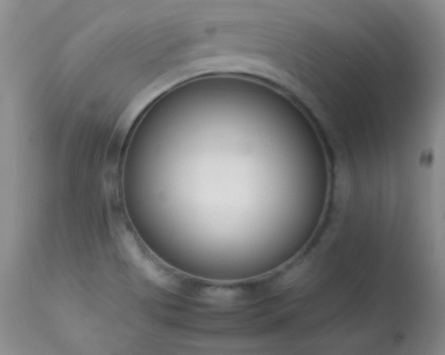 X0000114221513200910091335