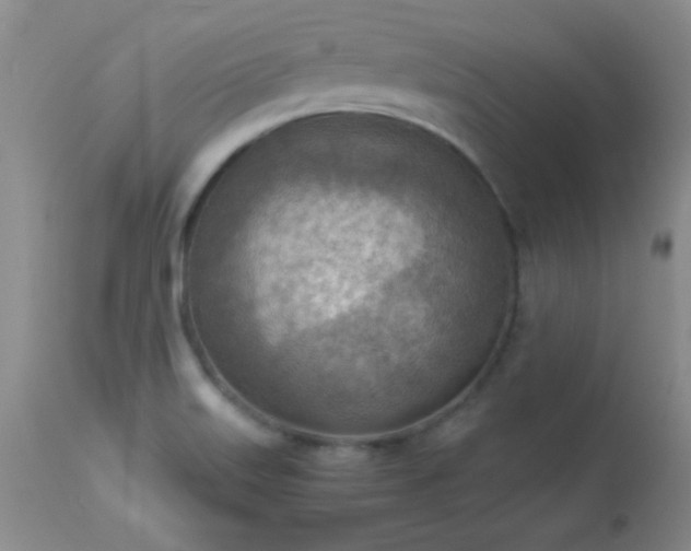 X0000114221515200910091335