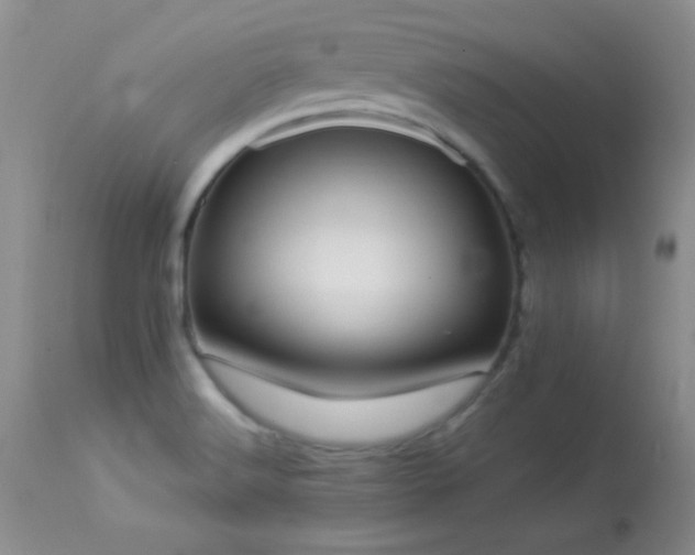 X0000114221516200910091335