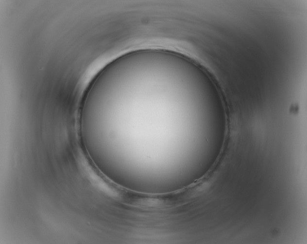 X0000114221517200910091335