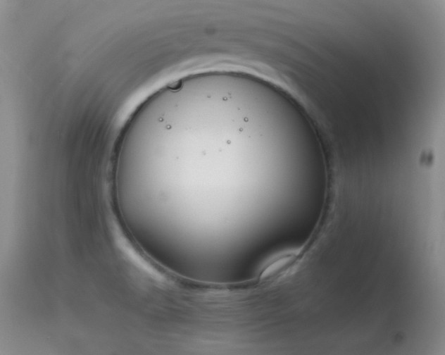 X0000114221518200910091335