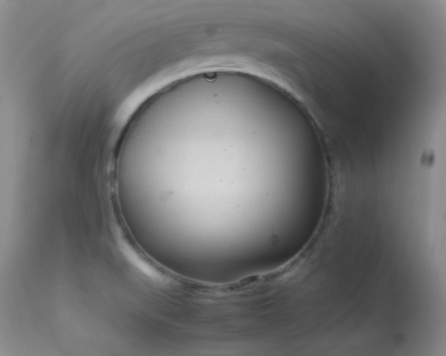 X0000114221519200910091335