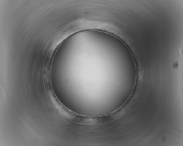 X0000114221521200910091336