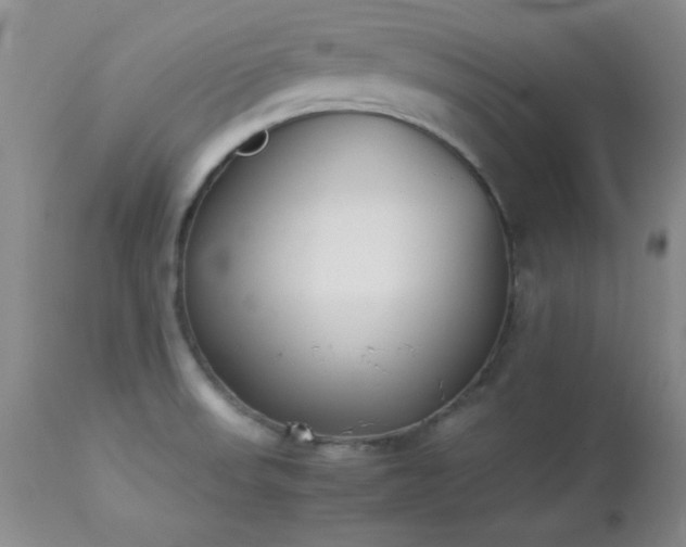 X0000114221523200910091336