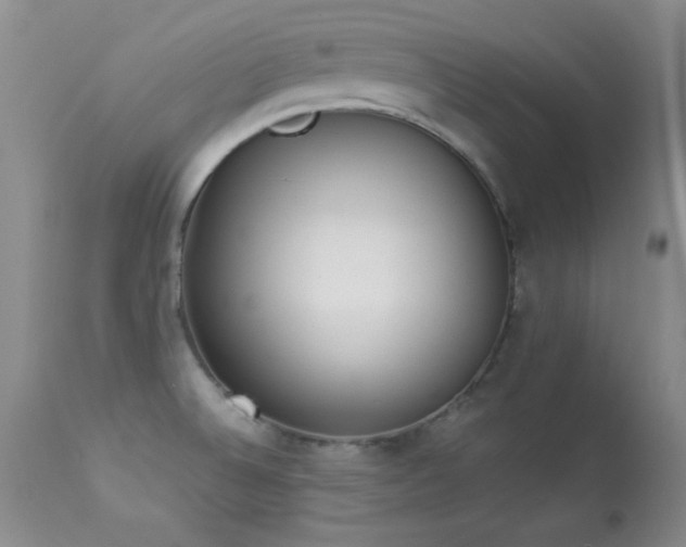 X0000114221524200910091336