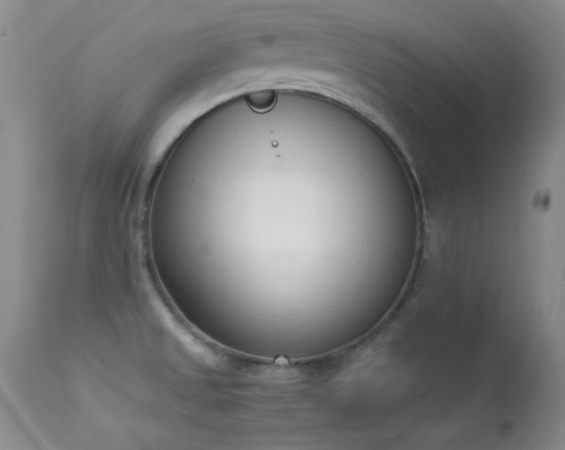 X0000114221525200910091336