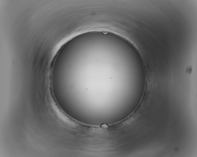 X0000114221526200910091336