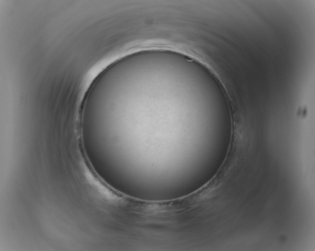 X0000114221527200910091336