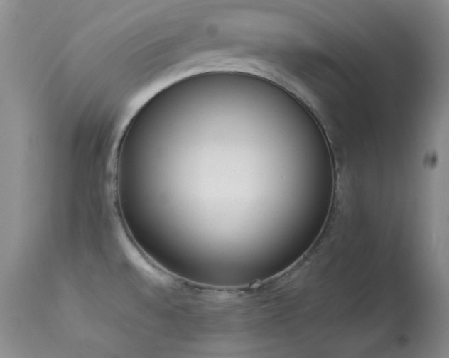 X0000114221528200910091336