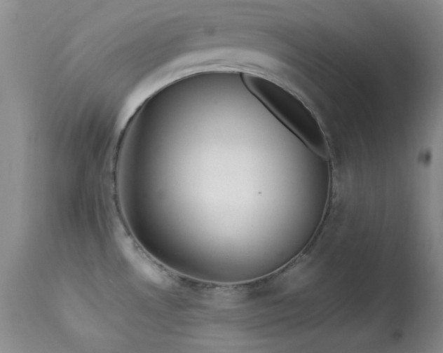 X0000114221530200910091336
