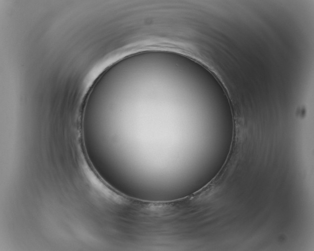 X0000114221531200910091336