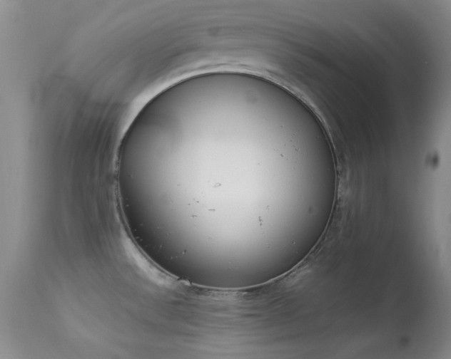 X0000114221532200910091336