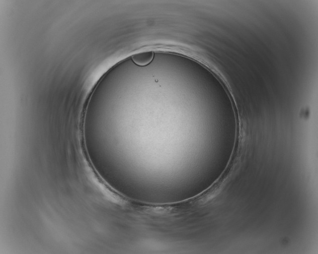 X0000114221533200910091336