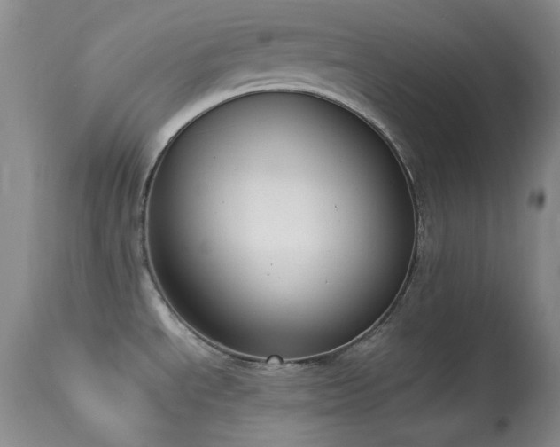 X0000114221534200910091336