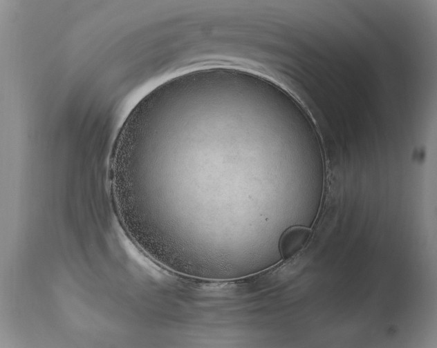 X0000114221535200910091336