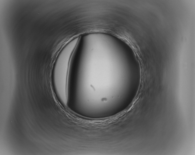 X0000114220001200910161317