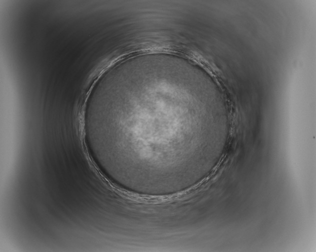 X0000114220002200910161317