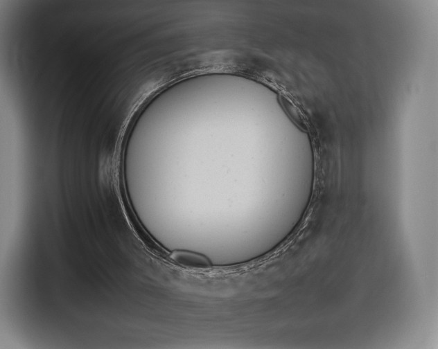 X0000114220003200910161317