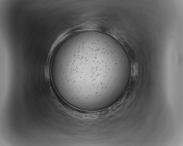 X0000114220004200910161317