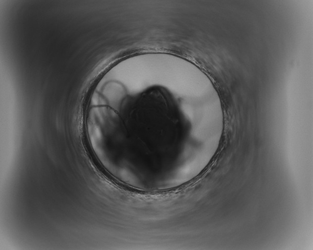 X0000114220005200910161317