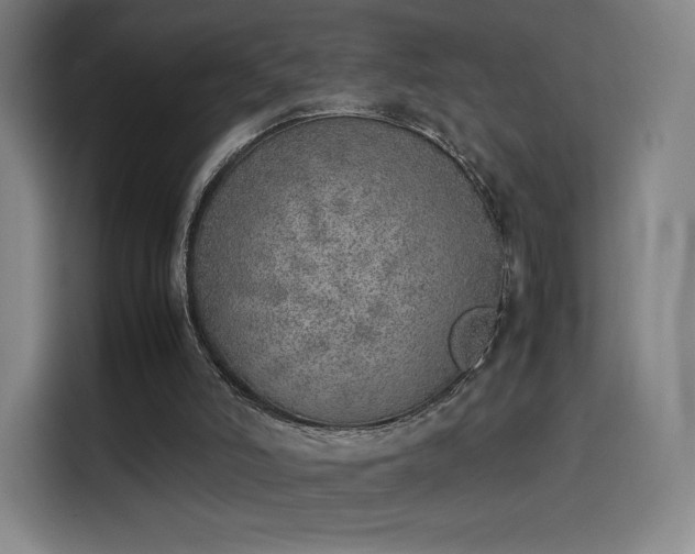 X0000114220006200910161317