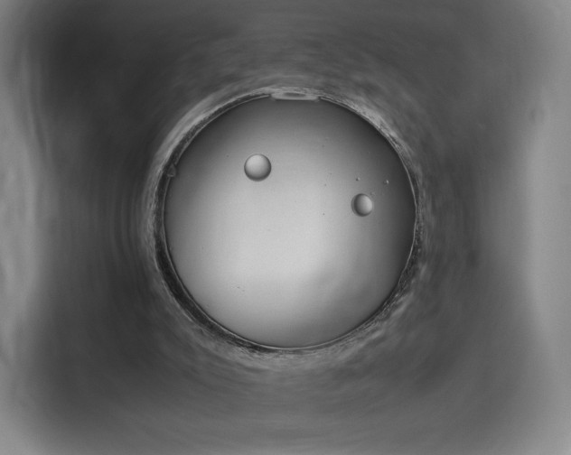 X0000114220007200910161317