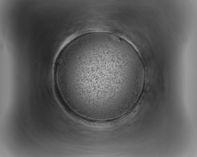 X0000114220008200910161317